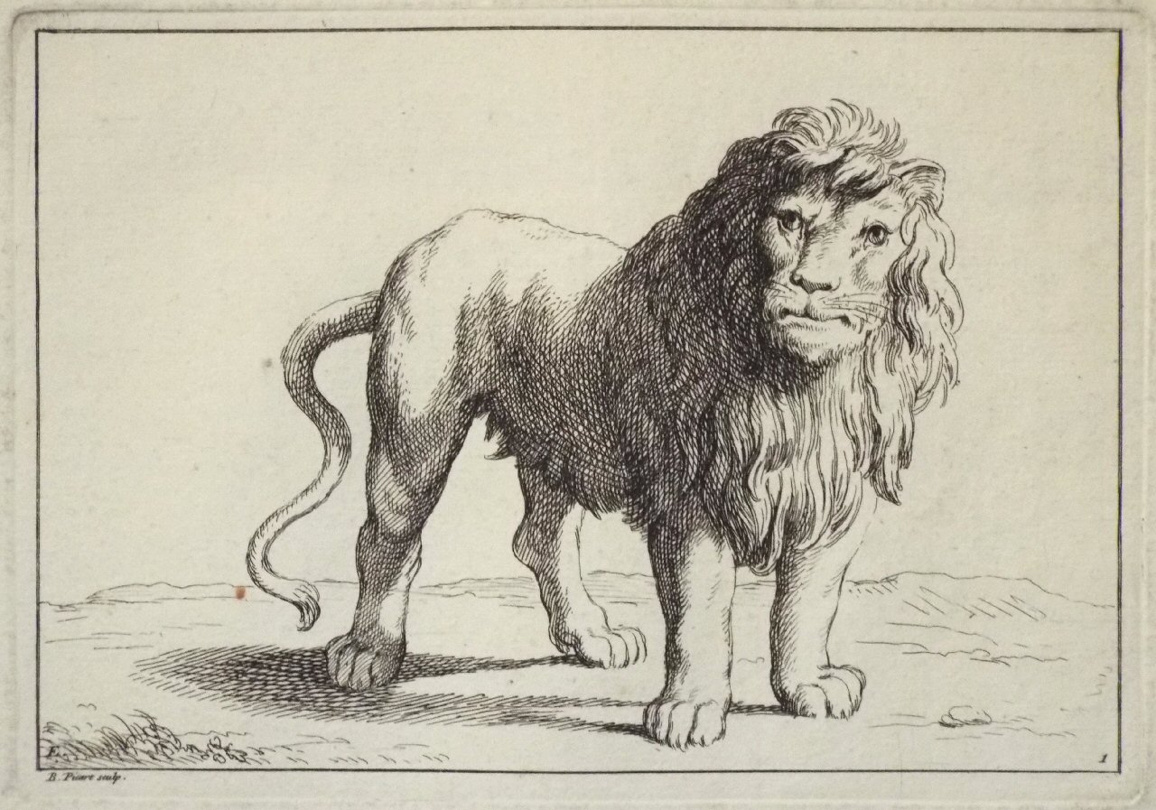 Etching - E. 1. Lion - Picart